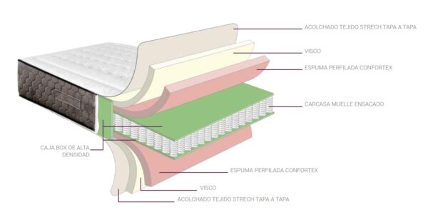 interiornapolies2022